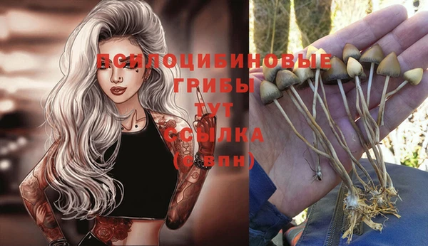 твердый Верея